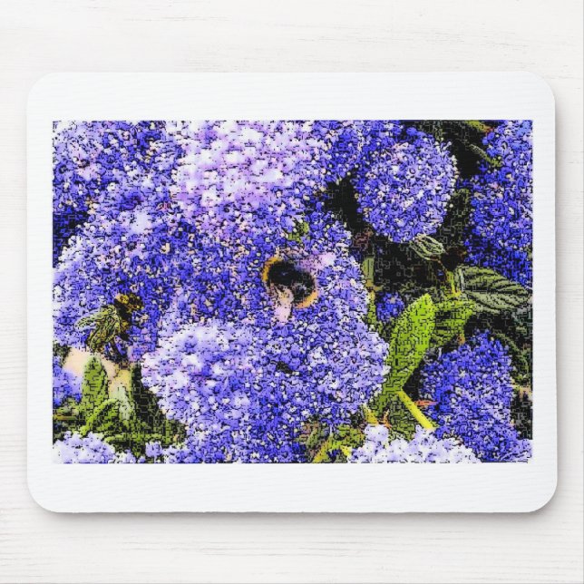 Ceanothus Flower Bee Musmatta (Framsidan)