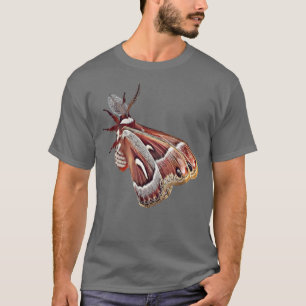 Ceanothus Silkmoth Tee