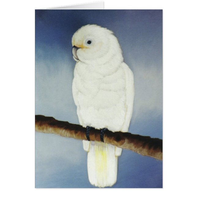 "Ceaser ", Hälsningskort (Framsidan)