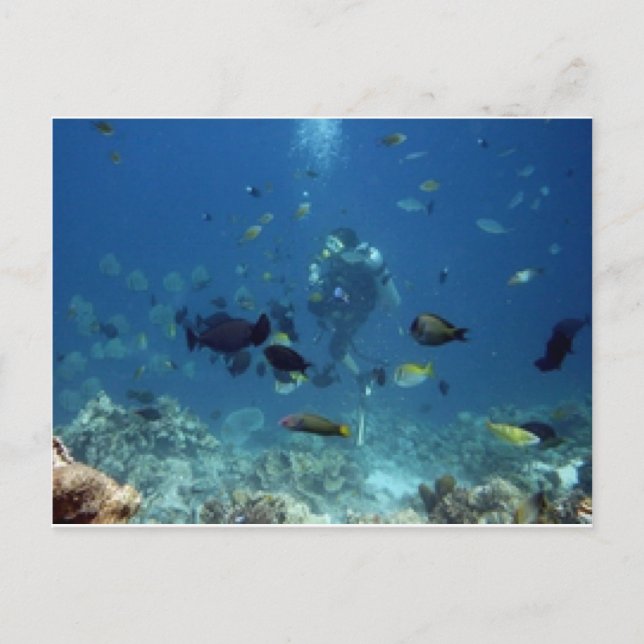 Cebu Diving.jpg Vykort (Framsida)