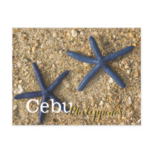 Cebu Filippinerna Blue Starfish