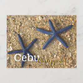 Cebu Filippinerna Blue Starfish Vykort