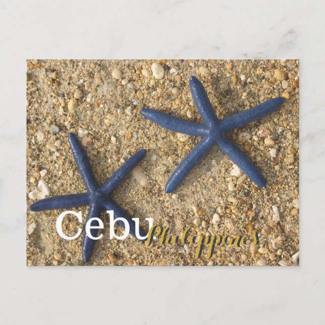 Cebu Filippinerna Blue Starfish Vykort (Framsida)