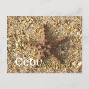 Cebu Filippinerna Brown Starfish Vykort