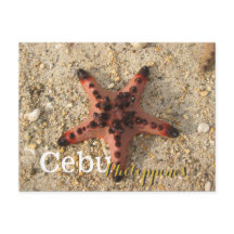 Cebu Filippinerna Tiger Starfish