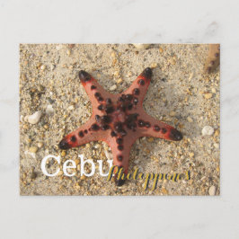 Cebu Filippinerna Tiger Starfish Vykort