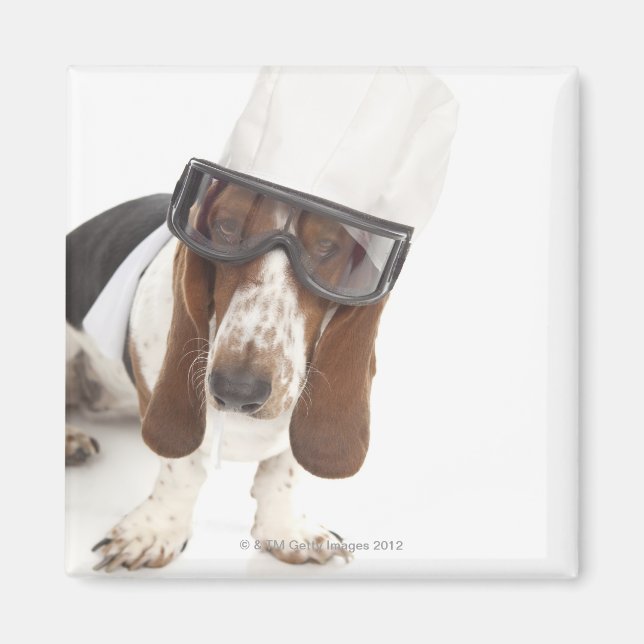 Cecelia Erhart Magnet (Framsidan)