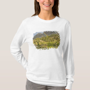 Cecret Lake med regnbåge över Devil's Castle, Tee Shirt