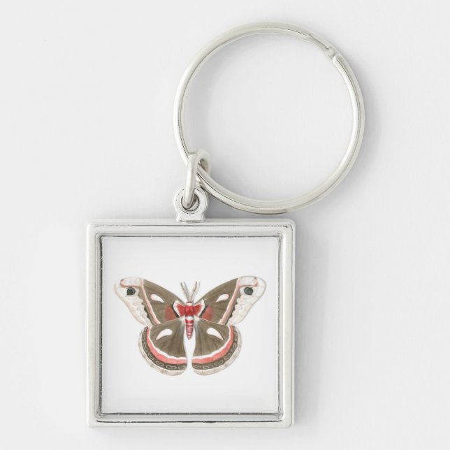 Cecropia Moth Keychain Fyrkantig Silverfärgad Nyckelring (Framsidan)