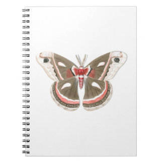 Cecropia Moth Notebook Anteckningsbok Med Spiral
