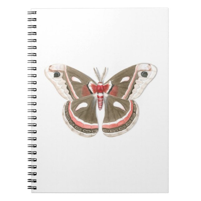 Cecropia Moth Notebook Anteckningsbok Med Spiral (Framsidan)