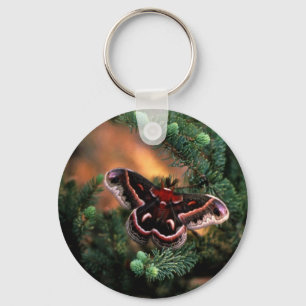 Cecropia moth nyckelring