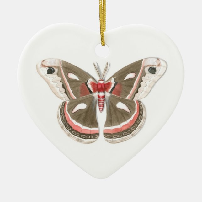Cecropia Moth Ornament (Framsidan)