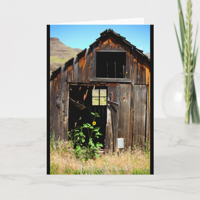 CEDA - SKJUL - TOMT KORT (Framsida)