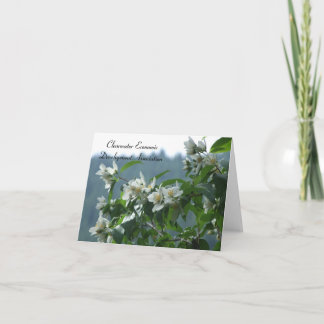 CEDA - Syringa Kort