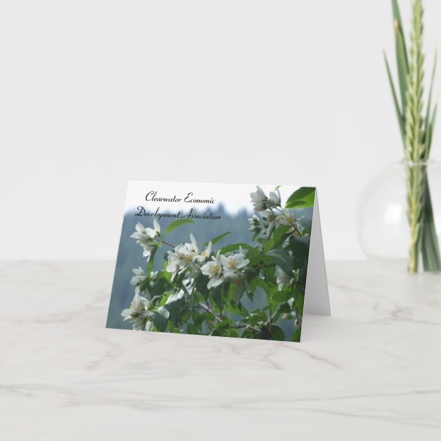 CEDA - Syringa Kort (Framsida)