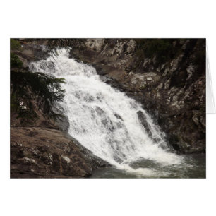 Cedar Bäck Falls Hälsningskort