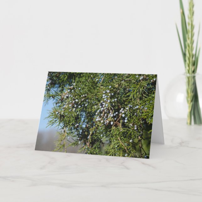 Cedar Berry jul Helgkort (Framsida)