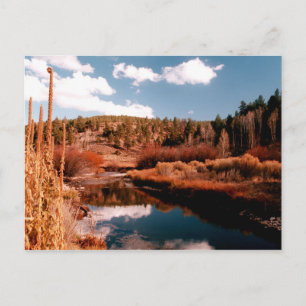 Cedar Breaks National Area, Utah Vykort