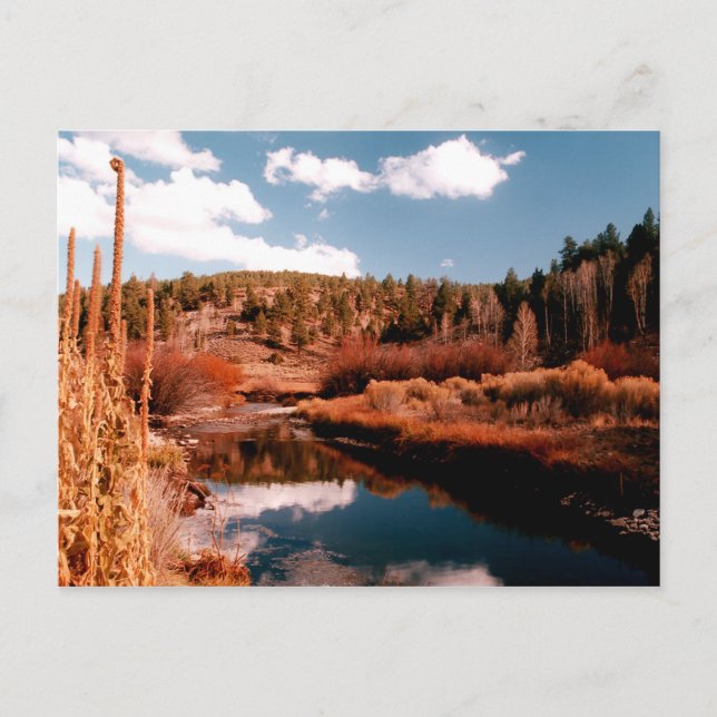 Cedar Breaks National Area, Utah Vykort (Framsida)