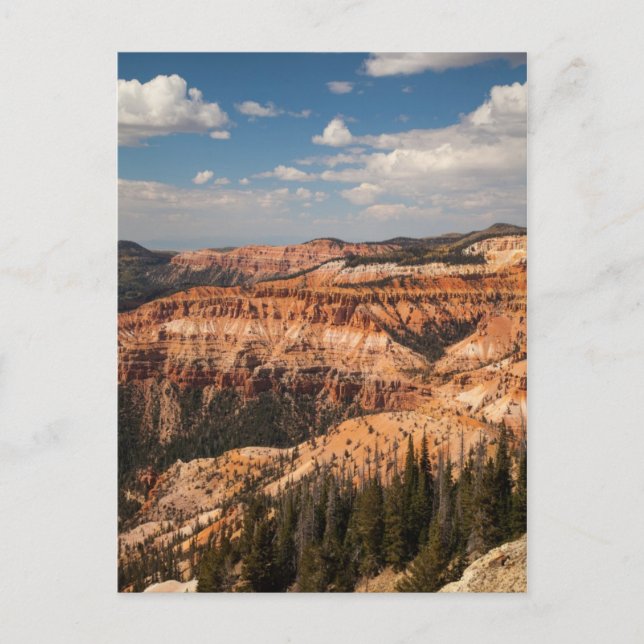 Cedar Breaks National Monument, Utah Vykort (Framsida)