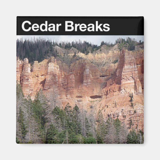 Cedar Breaks NM Magnet (Framsidan)