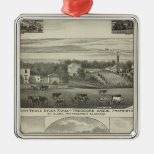 Cedar Grove Lagrar Farm och Roberts Ranch, Kansas Julgransprydnad Metall