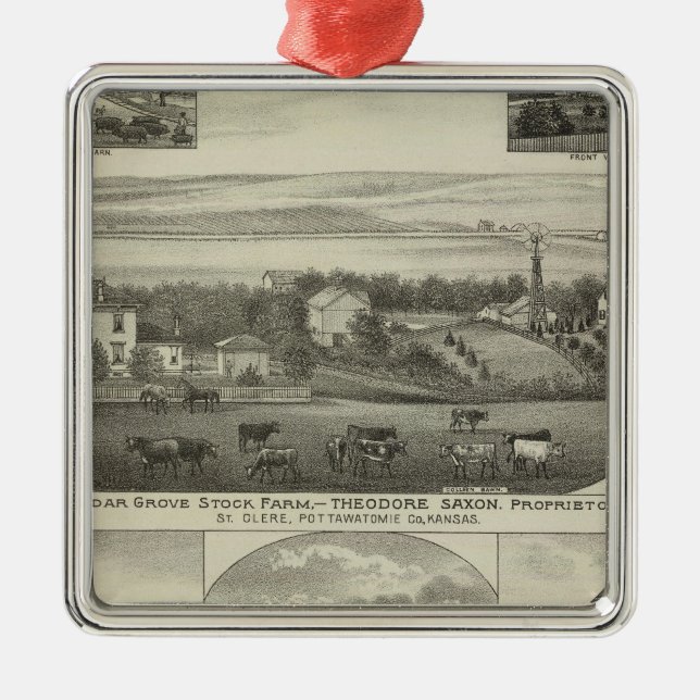 Cedar Grove Lagrar Farm och Roberts Ranch, Kansas Julgransprydnad Metall (Framsidan)