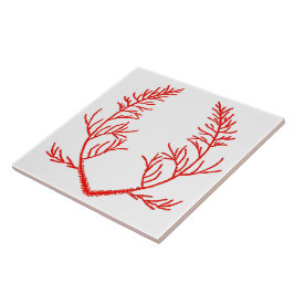 Cedar Löv på en vit keramisk platta Kakelplatta