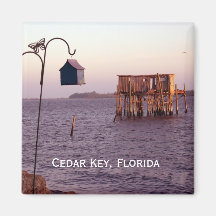 Cedar Nyckel Bird Feeder, Cedar Nyckel, Florida