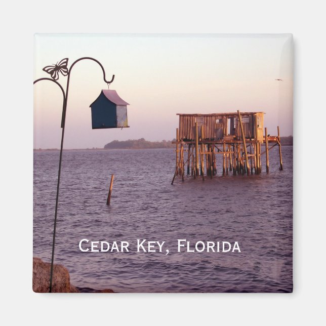 Cedar Nyckel Bird Feeder, Cedar Nyckel, Florida Magnet (Framsidan)