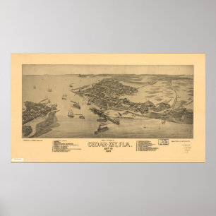 Cedar Nyckel Florida 1884 Antique Panoramic Karta Poster