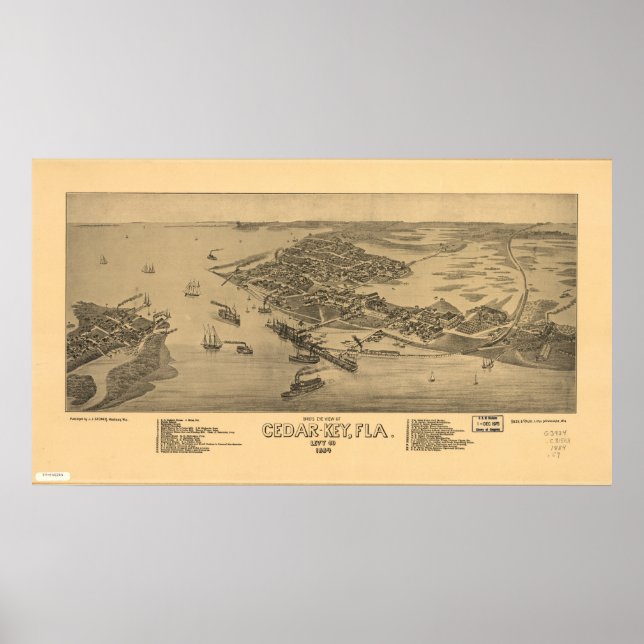 Cedar Nyckel Florida 1884 Panoramic Karta Poster (Framsidan)