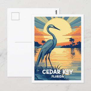 Cedar Nyckel Florida USA Berömd Vintage resor Stäl Vykort