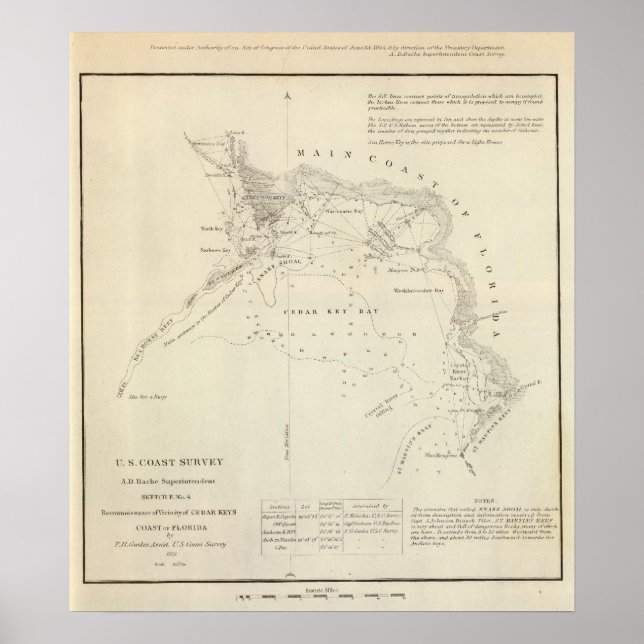 Cedar Nycklar, Fla Poster (Framsidan)