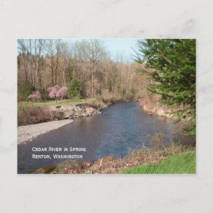 Cedar River Beach-vykort Vykort