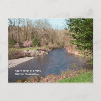 Cedar River Beach-vykort Vykort