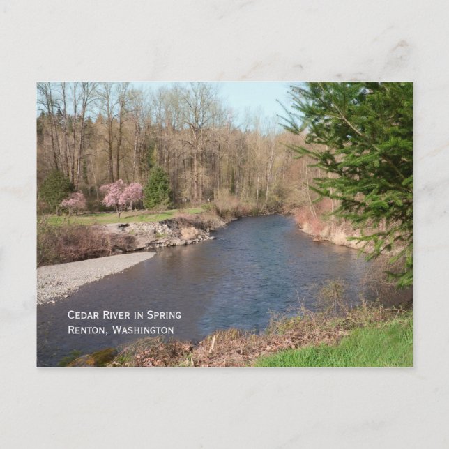 Cedar River Beach-vykort Vykort (Framsida)