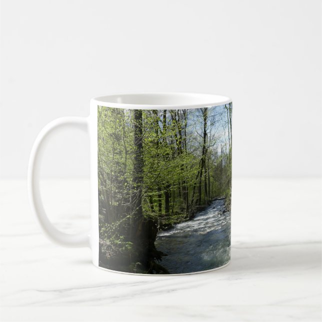 Cedar Springa vid White Oak Canyon Kaffemugg (Vänster)