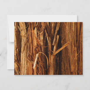 Cedar Texturerad träbark Kort