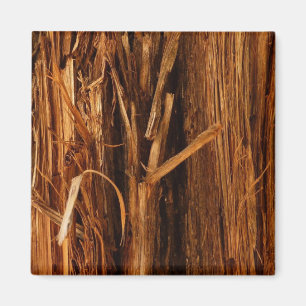 Cedar Texturerad träbark Magnet