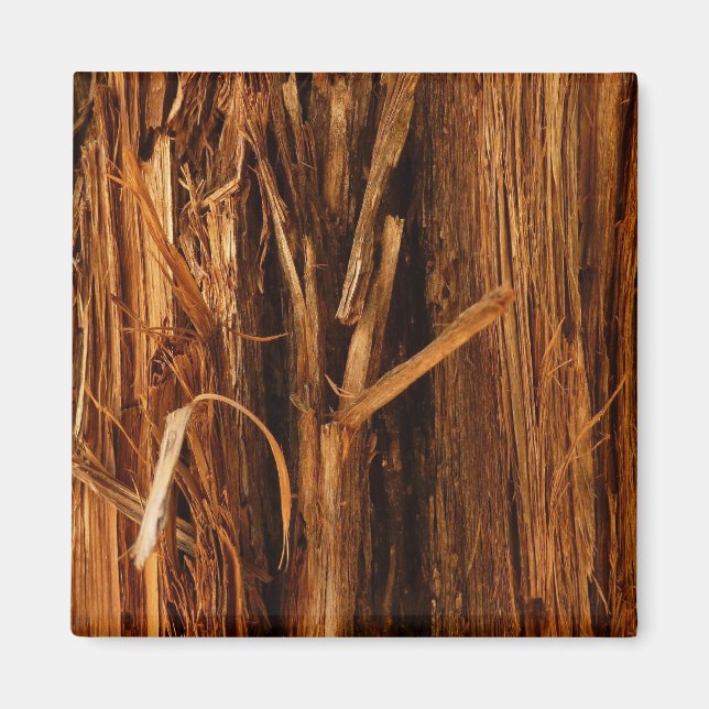 Cedar Texturerad träbark Magnet (Framsidan)