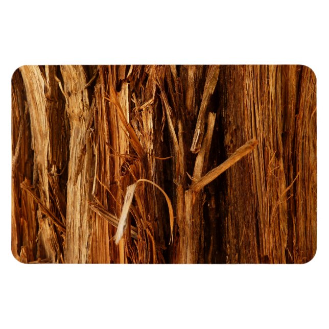 Cedar Texturerad träbark Magnet (Horisontell)
