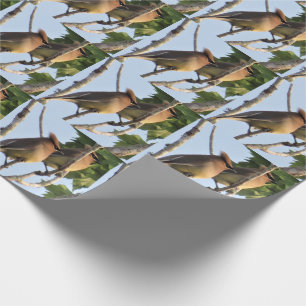 Cedar Waxwing - Backyard Bird - Wrapping Papprare  Presentpapper
