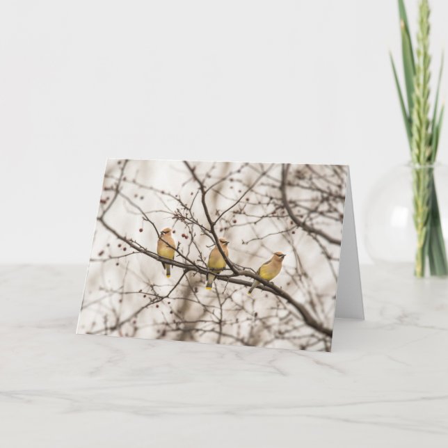 Cedar Waxwing Bird Note Card Kort (Framsida)
