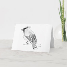 Cedar Waxwing Blank Greeting Card Kort