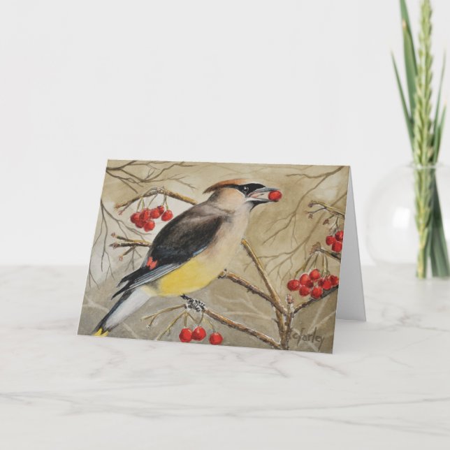 Cedar Waxwing Eatry Berries Greeting Card Kort (Framsida)