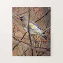 Cedar Waxwing | Jigszle Puzzle