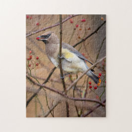 Cedar Waxwing | Jigszle Puzzle Pussel