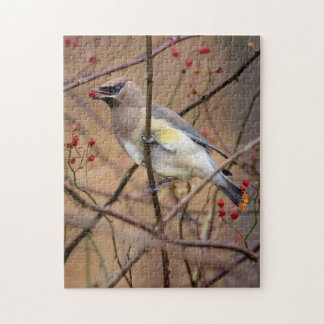 Cedar Waxwing | Jigszle Puzzle Pussel